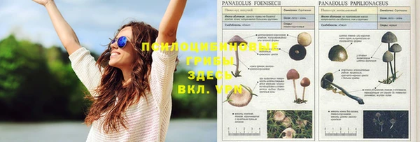 МДМА Алексеевка