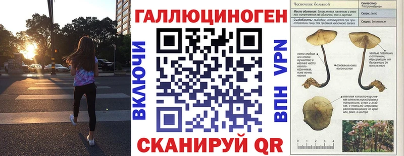 Галлюциногенные грибы Cubensis Свирск