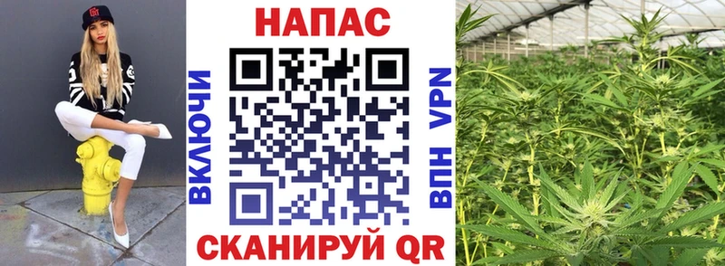 купить закладку  Свирск  Бошки Шишки тримм 
